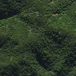 Satellite imagery of 2032, NZ