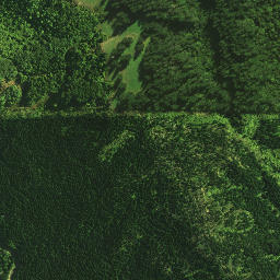Satellite imagery of 988 NO 2, NZ