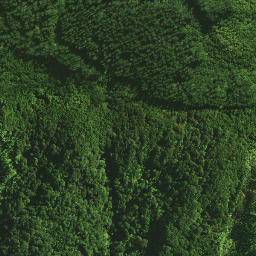 Satellite imagery of 988 NO 2, NZ