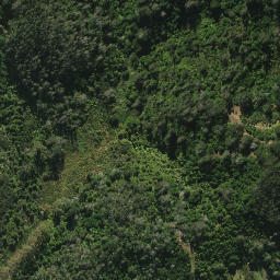 Satellite imagery of 2051, NZ