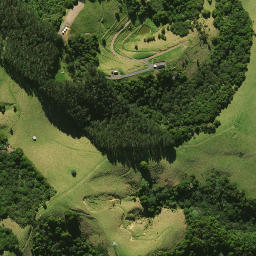 Satellite imagery of SM 1098, NZ