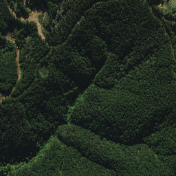 Satellite imagery of XI WHANUI, NZ