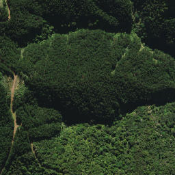Satellite imagery of XI WHANUI, NZ