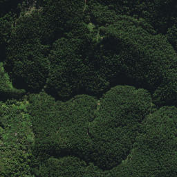 Satellite imagery of XI WHANUI, NZ