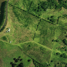 Satellite imagery of D 26 SO 45458, NZ