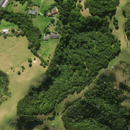 Satellite imagery of SM 1098, NZ
