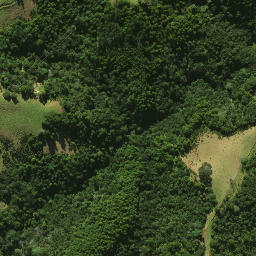 Satellite imagery of SM 1098, NZ