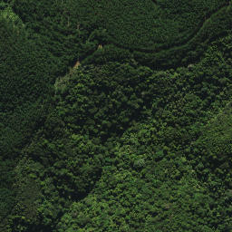 Satellite imagery of XI WHANUI, NZ