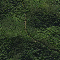 Satellite imagery of XI WHANUI, NZ