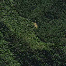 Satellite imagery of XI WHANUI, NZ