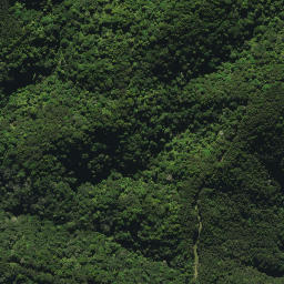 Satellite imagery of XI WHANUI, NZ