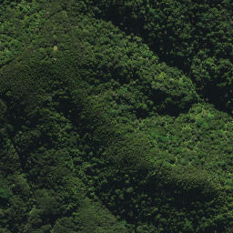 Satellite imagery of XI WHANUI, NZ