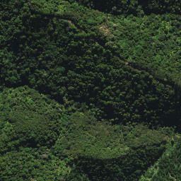 Satellite imagery of XI WHANUI, NZ