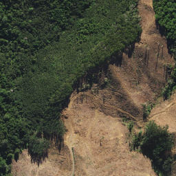 Satellite imagery of 34 OHUATAHI, NZ
