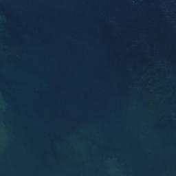 Satellite imagery of Waipuna Pa, NZ