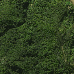 Satellite imagery of 2081, NZ