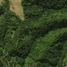 Satellite imagery of 2081, NZ