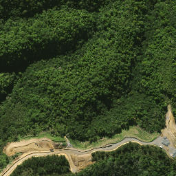 Satellite imagery of 2081, NZ