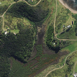Satellite imagery of Waipuna Pa, NZ