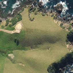 Satellite imagery of 2091, NZ