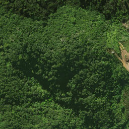 Satellite imagery of 2081, NZ