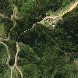 Satellite imagery of 2081, NZ