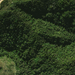 Satellite imagery of 2081, NZ