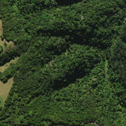 Satellite imagery of C (Whangarei SD), NZ