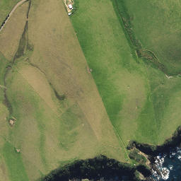 Satellite imagery of 2091, NZ