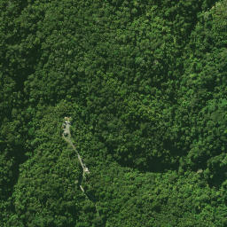 Satellite imagery of 2081, NZ