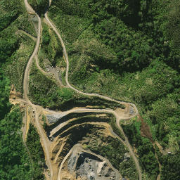 Satellite imagery of 2081, NZ