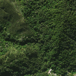 Satellite imagery of 2081, NZ