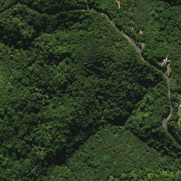Satellite imagery of C (Whangarei SD), NZ