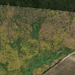 Satellite imagery of Cerro Maica, CL