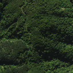 Satellite imagery of C (Whangarei SD), NZ