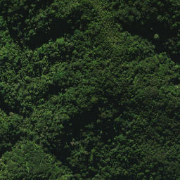 Satellite imagery of C (Whangarei SD), NZ