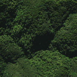 Satellite imagery of C (Whangarei SD), NZ