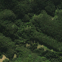 Satellite imagery of 2082, NZ