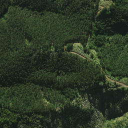 Satellite imagery of 2082, NZ