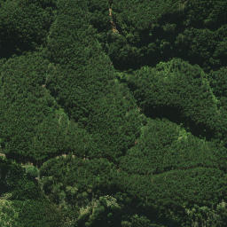 Satellite imagery of 2082, NZ