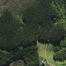 Satellite imagery of Q (Whangarei SD), NZ