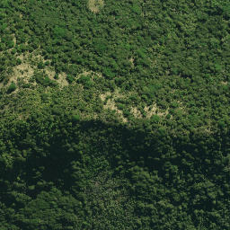 Satellite imagery of MANGATIPA NO 2, NZ