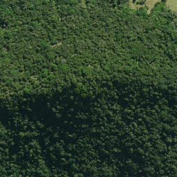 Satellite imagery of MANGATIPA NO 2, NZ