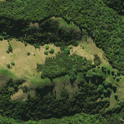 Satellite imagery of 2082, NZ