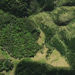 Satellite imagery of 2082, NZ