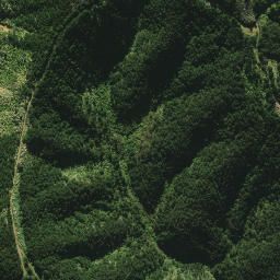 Satellite imagery of 2082, NZ