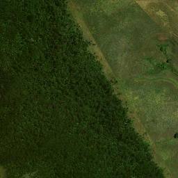 Satellite imagery of Maunganui Bluff, NZ