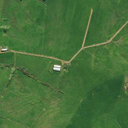 Satellite imagery of 1991, NZ