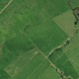 Satellite imagery of 1991, NZ