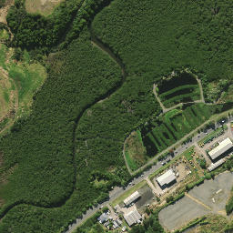Satellite imagery of 2084, NZ